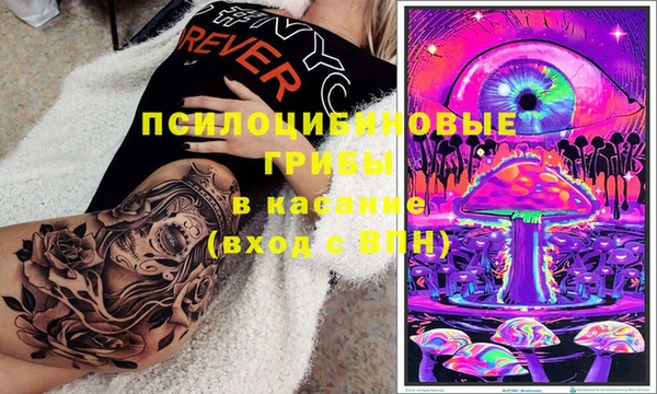 стафф Приозерск