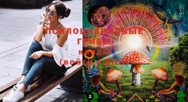 спиды Ростов