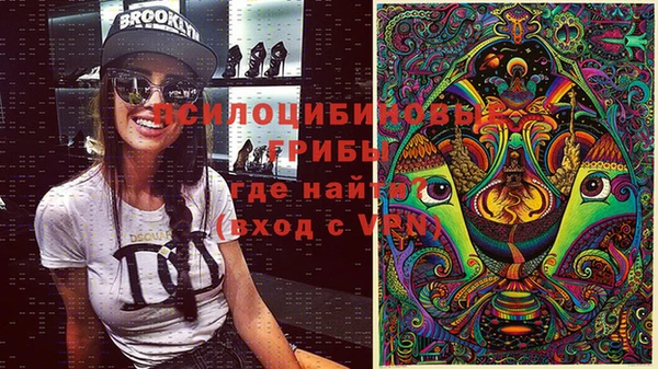 эйфоретик Абинск