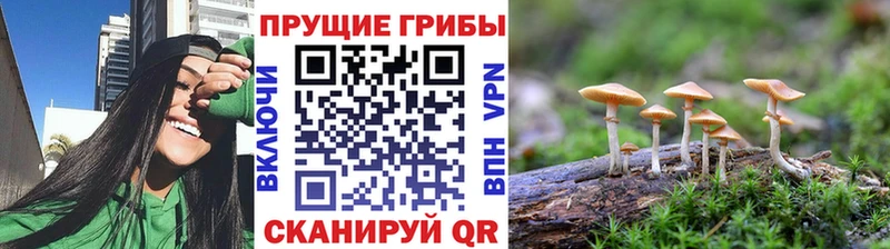 ОМГ ОМГ ссылка  Зеленокумск  Псилоцибиновые грибы мухоморы  где найти наркотики 