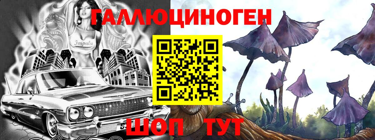 закладка  Псилоцибиновые грибы Cubensis  Зеленокумск  Вход с VPN  Галлюциногенные грибы Psilocybine cubensis 